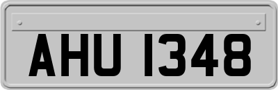 AHU1348