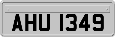 AHU1349