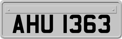 AHU1363