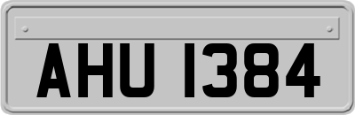 AHU1384