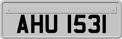 AHU1531