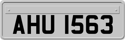 AHU1563