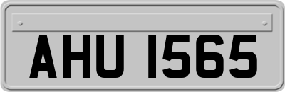 AHU1565