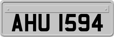 AHU1594