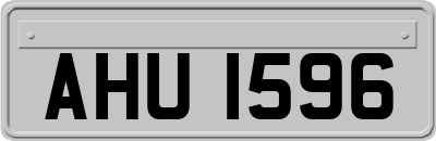 AHU1596