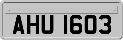 AHU1603