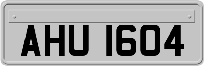 AHU1604