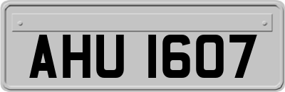 AHU1607