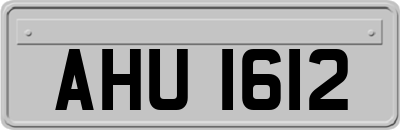 AHU1612