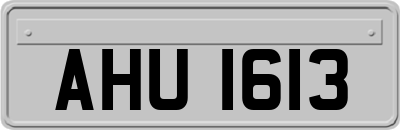AHU1613