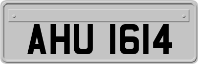 AHU1614