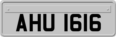AHU1616
