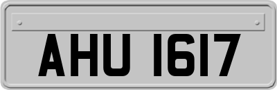 AHU1617