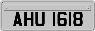 AHU1618