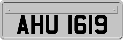 AHU1619