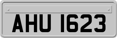 AHU1623