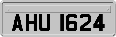 AHU1624
