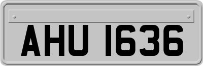 AHU1636