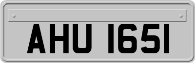 AHU1651