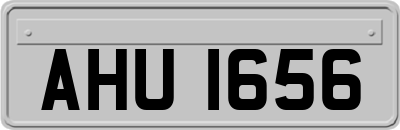AHU1656