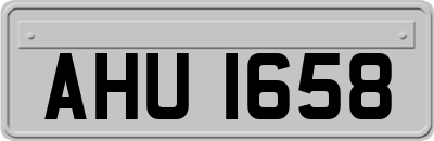 AHU1658