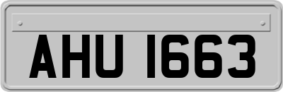 AHU1663