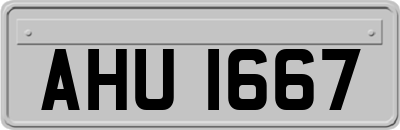 AHU1667
