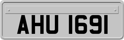 AHU1691