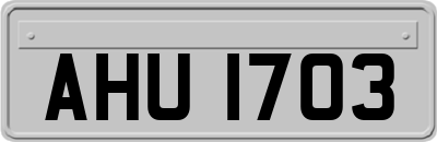 AHU1703