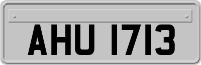 AHU1713