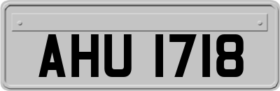 AHU1718