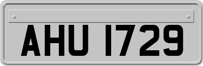 AHU1729