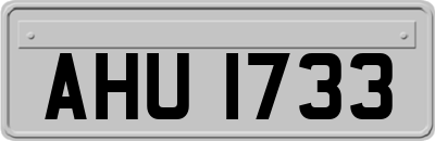 AHU1733