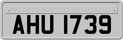 AHU1739