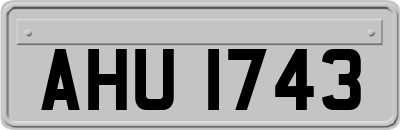 AHU1743