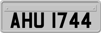 AHU1744