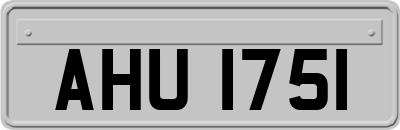 AHU1751