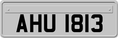 AHU1813