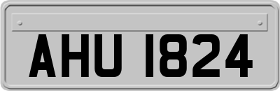 AHU1824