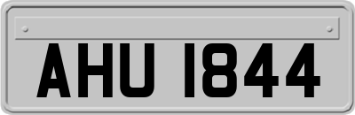 AHU1844