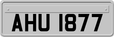 AHU1877