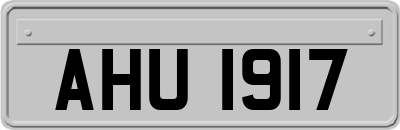 AHU1917