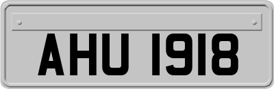 AHU1918