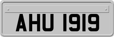 AHU1919