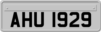 AHU1929
