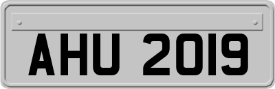 AHU2019