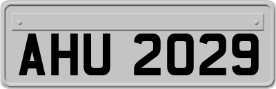 AHU2029