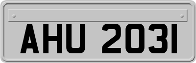 AHU2031