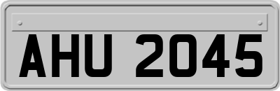 AHU2045