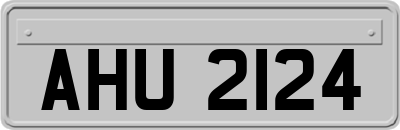 AHU2124